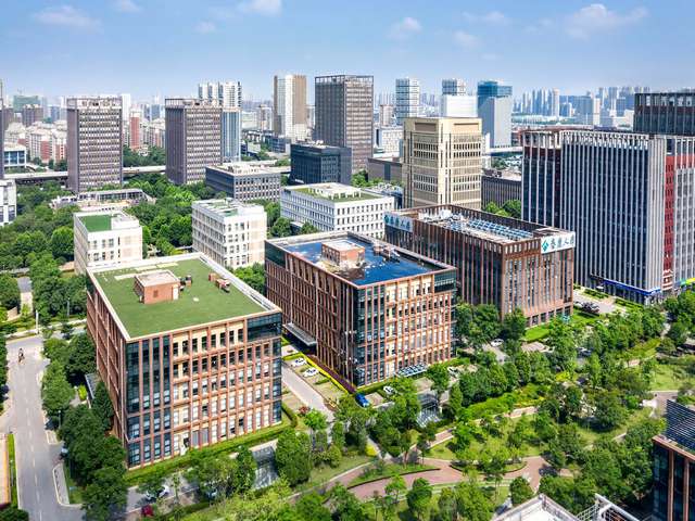 24岁男性脱发怎么办